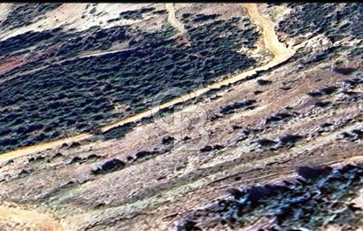 HATAY İSKENDERUN CIRTIMAN'DA FIRSAT PARSEL