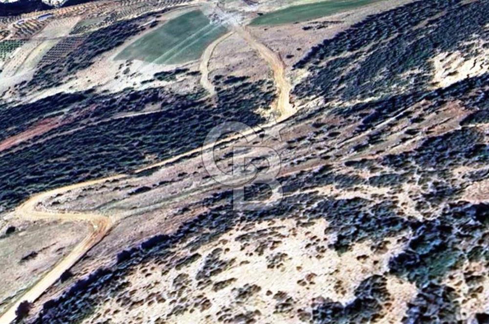 HATAY İSKENDERUN CIRTIMAN'DA FIRSAT PARSEL