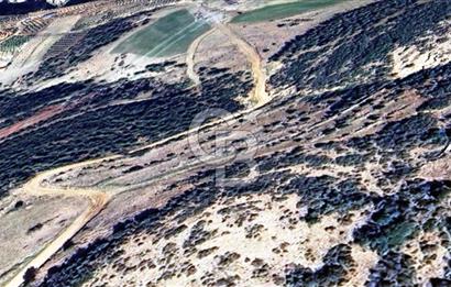 HATAY İSKENDERUN CIRTIMAN'DA FIRSAT PARSEL