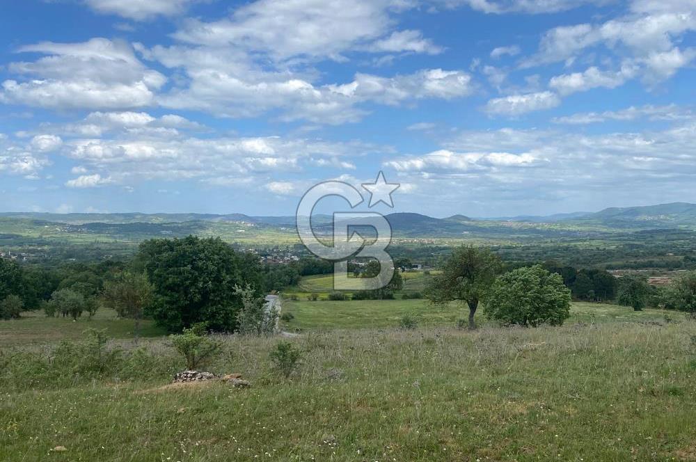 Çan Terzialan’da Ekoturizm ve Villa İmarlı Satılık Arsa