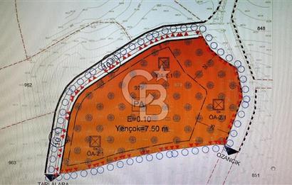Çan Terzialan’da Ekoturizm ve Villa İmarlı Satılık Arsa