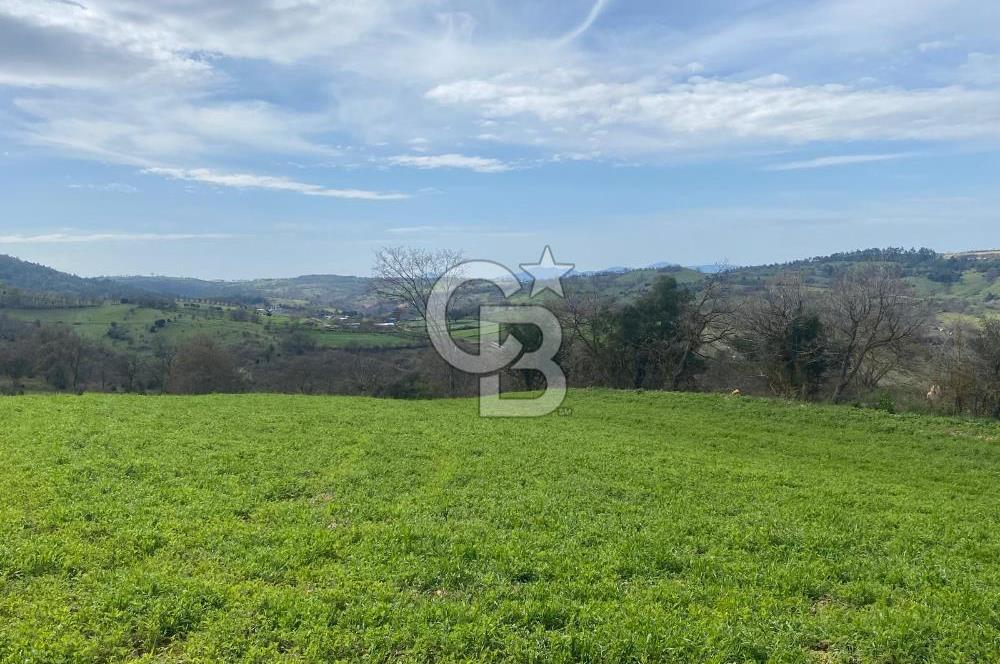 Çan Terzialan’da Ekoturizm ve Villa İmarlı Satılık Arsa