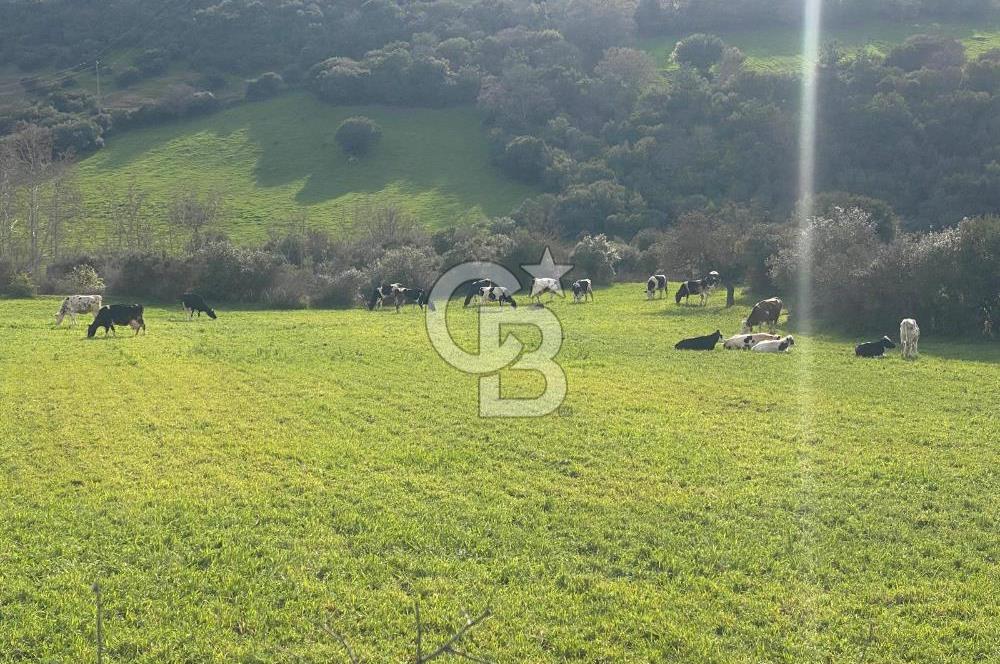 Çan Terzialan’da Ekoturizm ve Villa İmarlı Satılık Arsa