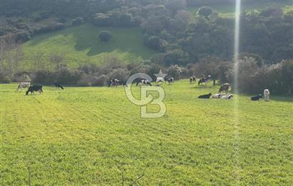 Çan Terzialan’da Ekoturizm ve Villa İmarlı Satılık Arsa