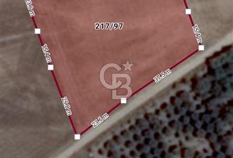 KORKUTELİ KÜÇÜKKÖY YAYLASINDA YOLU OLAN 3379 M2 TARLA - 5 - 336993