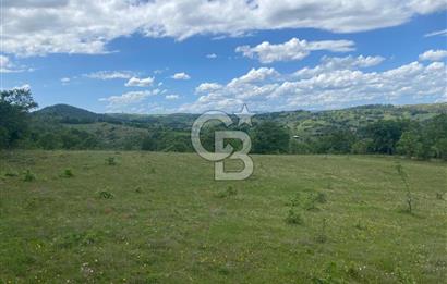 Çan Terzialan’da Ekoturizm ve Villa İmarlı Satılık Arsa