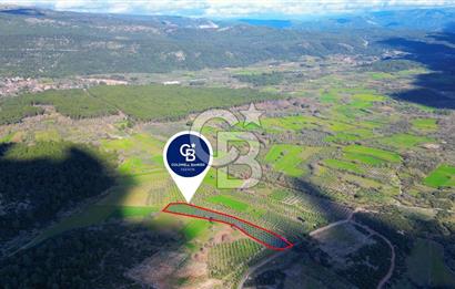 Muğla yaraş Mahallesi’nde tarla niteliğinde satılık 8381 metre² zeytinlik