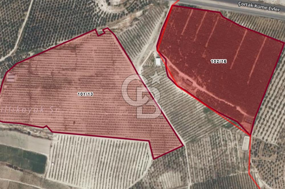 Mut Çağlayangedik ve Çortak Sınırı Satılık Çiftlik ve Arazi 