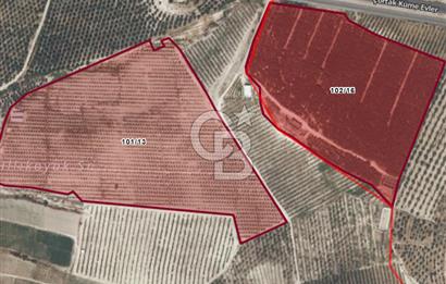 Mut Çağlayangedik ve Çortak Sınırı Satılık Çiftlik ve Arazi 