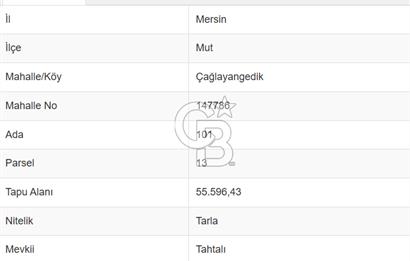 Mut Çağlayangedik ve Çortak Sınırı Satılık Çiftlik ve Arazi 