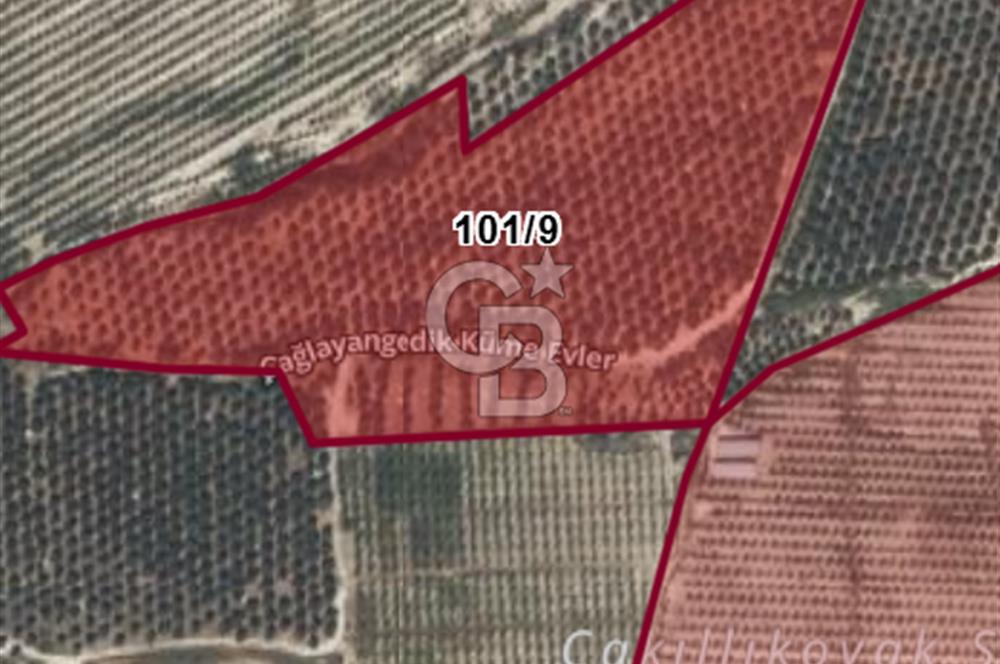 Mut Çağlayangedik ve Çortak Sınırı Satılık Çiftlik ve Arazi 