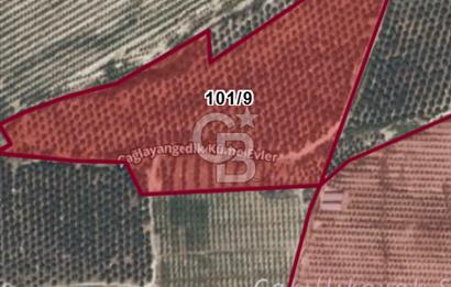 Mut Çağlayangedik ve Çortak Sınırı Satılık Çiftlik ve Arazi 