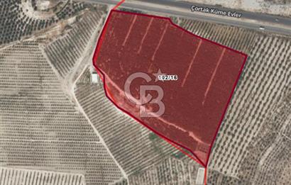 Mut Çağlayangedik ve Çortak Sınırı Satılık Çiftlik ve Arazi 