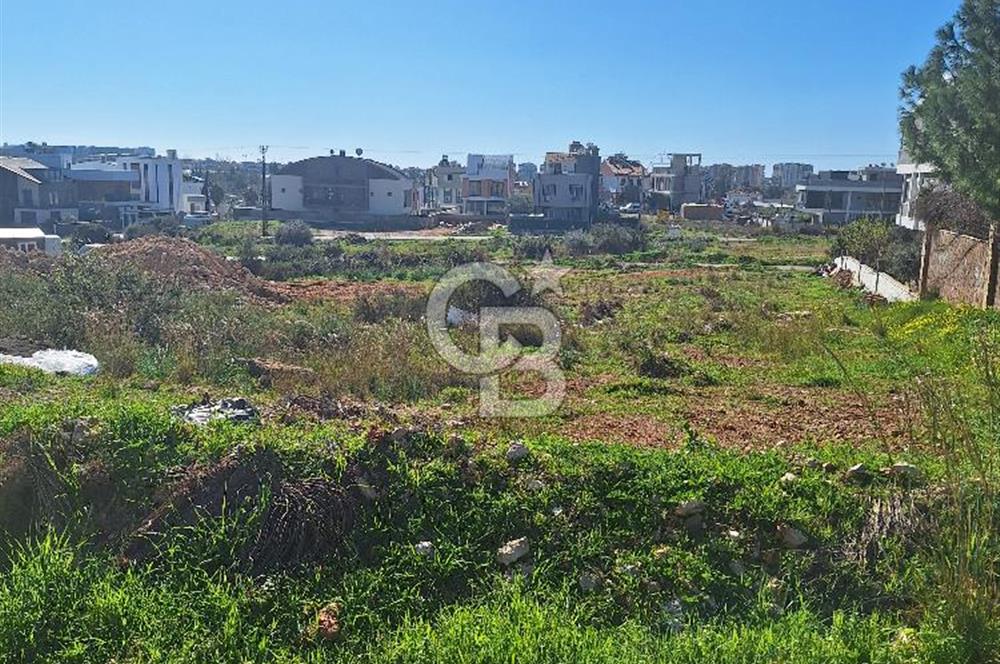 ERMENEK'TE HARİKA LOKASYONDA KONUT/VİLLA ARSASI