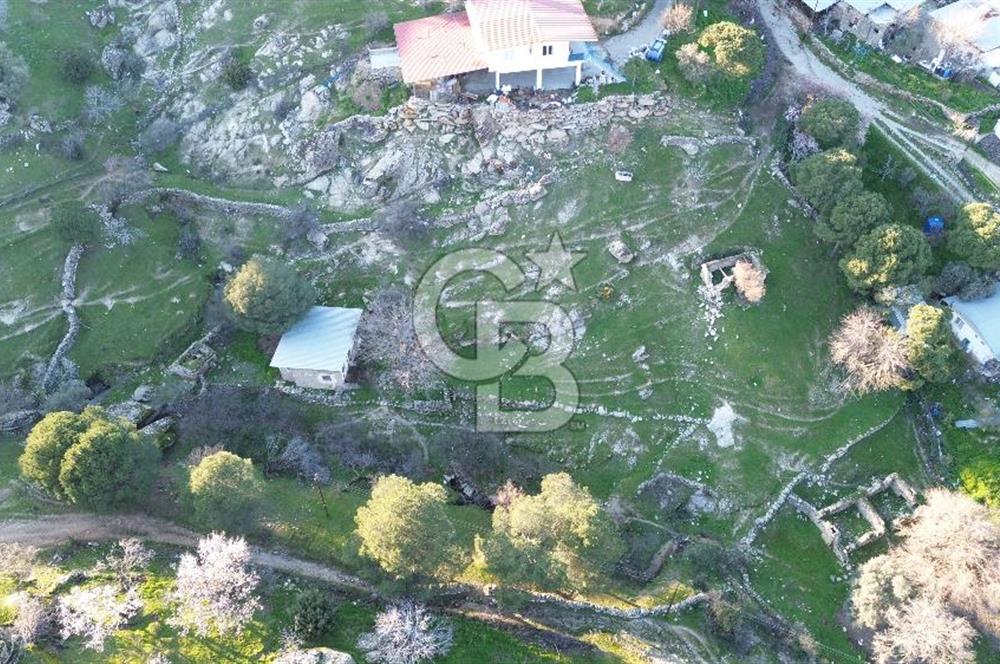 Aydın Koçarlı Gözkaya Mah. Satılık Bahçe