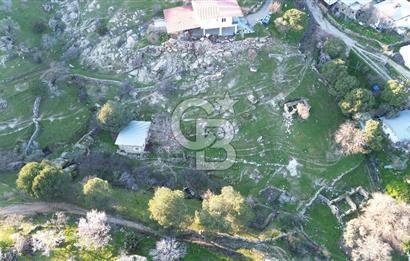 Aydın Koçarlı Gözkaya Mah. Satılık Bahçe