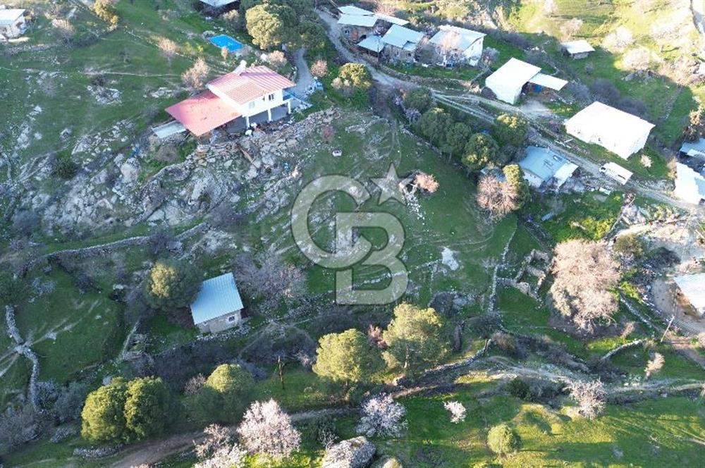 Aydın Koçarlı Gözkaya Mah. Satılık Bahçe