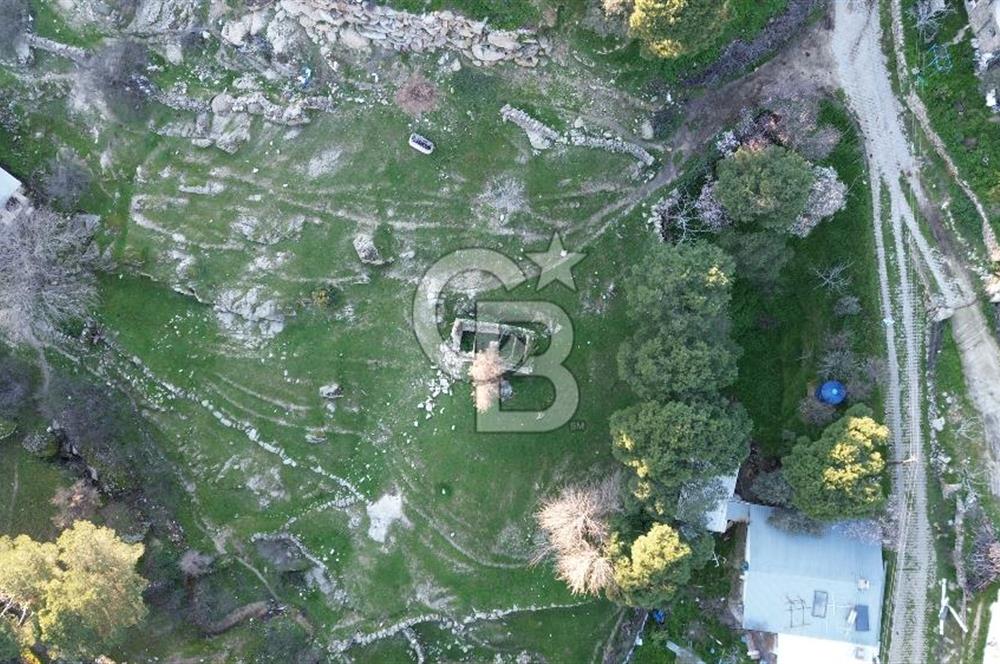 Aydın Koçarlı Gözkaya Mah. Satılık Bahçe