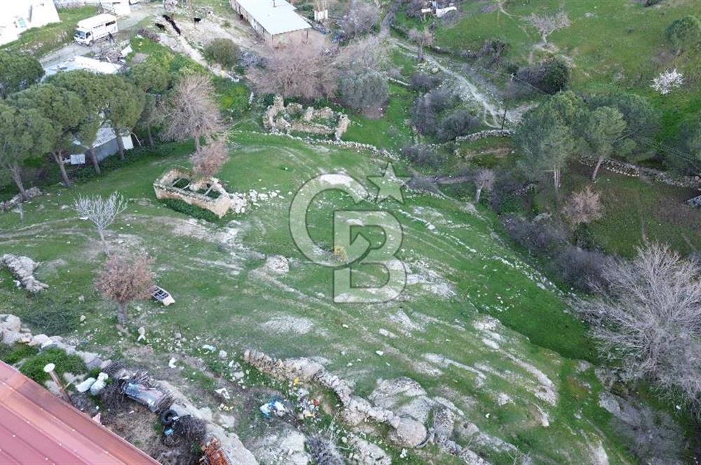 Aydın Koçarlı Gözkaya Mah. Satılık Bahçe