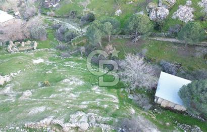 Aydın Koçarlı Gözkaya Mah. Satılık Bahçe