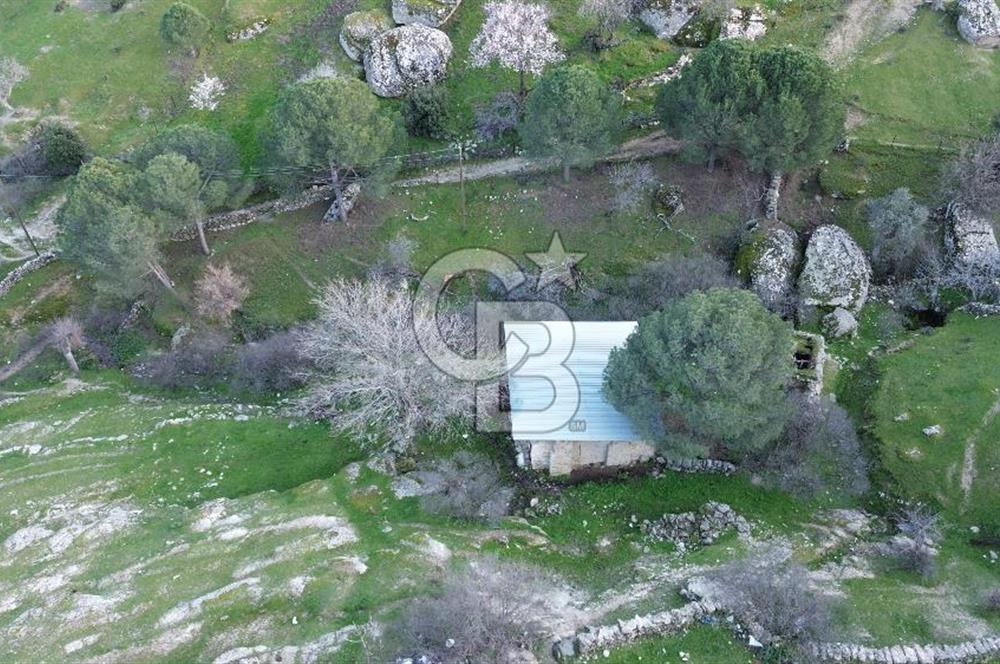 Aydın Koçarlı Gözkaya Mah. Satılık Bahçe