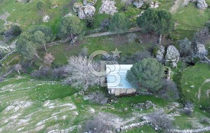 Aydın Koçarlı Gözkaya Mah. Satılık Bahçe