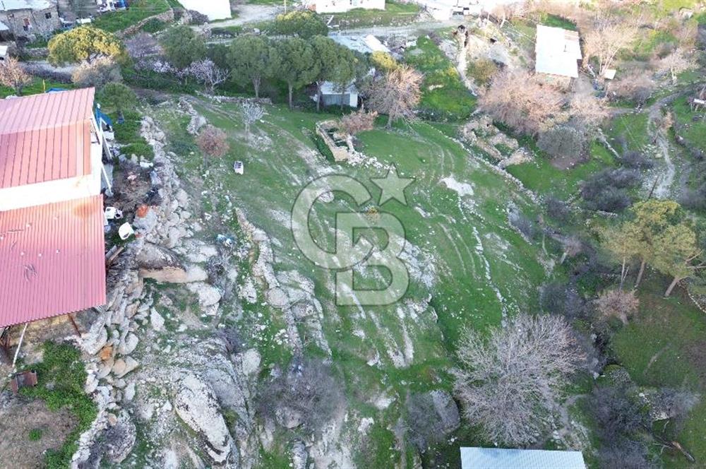 Aydın Koçarlı Gözkaya Mah. Satılık Bahçe