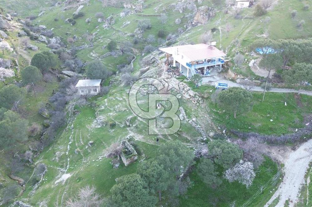 Aydın Koçarlı Gözkaya Mah. Satılık Bahçe