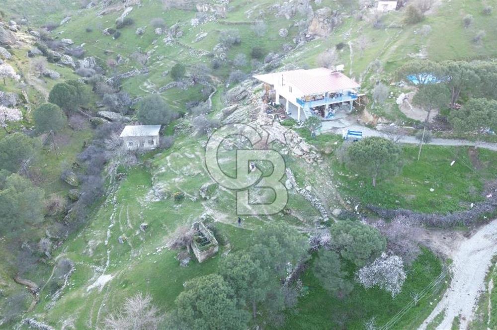 Aydın Koçarlı Gözkaya Mah. Satılık Bahçe