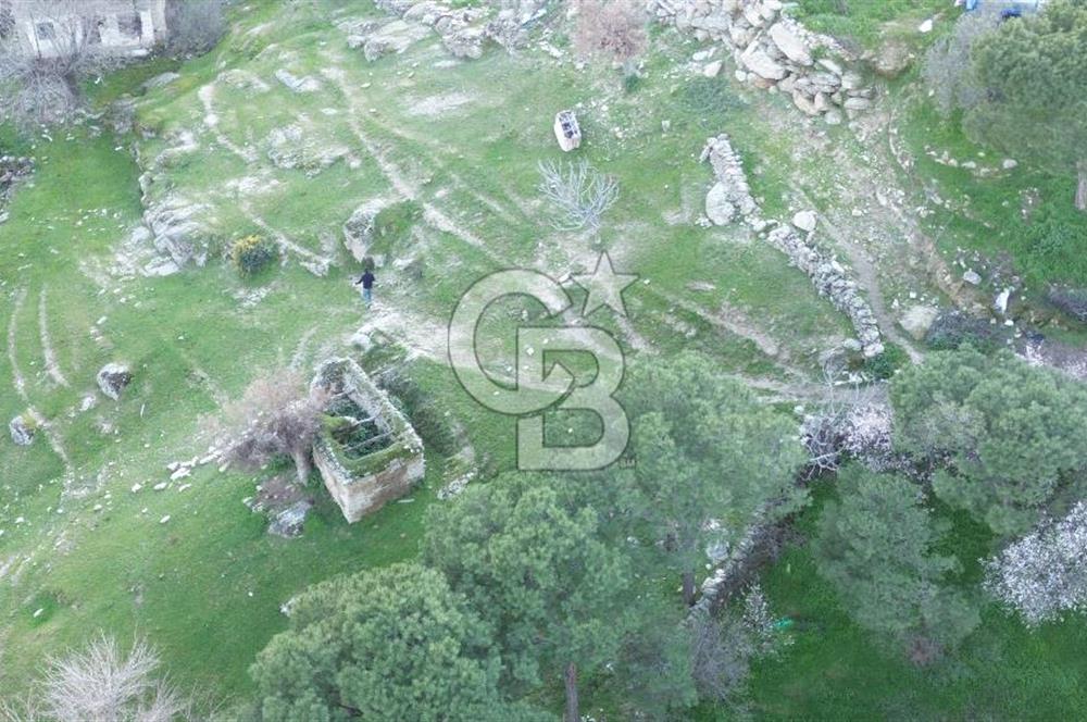 Aydın Koçarlı Gözkaya Mah. Satılık Bahçe