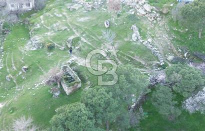 Aydın Koçarlı Gözkaya Mah. Satılık Bahçe