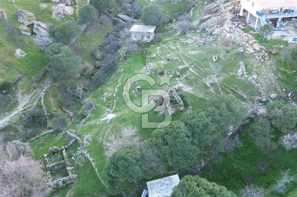 Aydın Koçarlı Gözkaya Mah. Satılık Bahçe