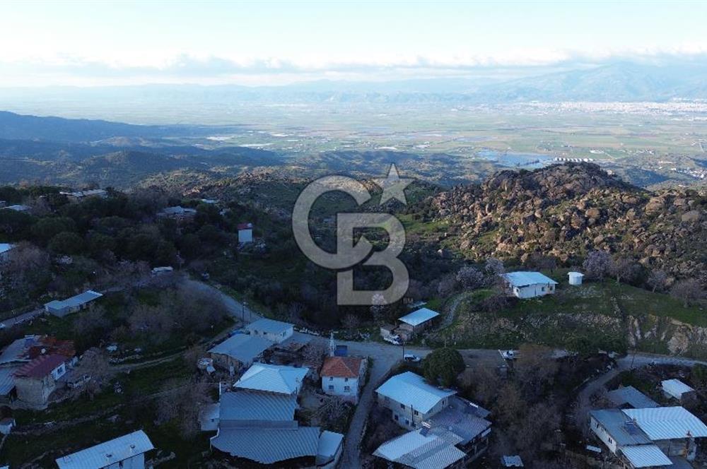 Aydın Koçarlı Gözkaya Mah. Satılık Bahçe