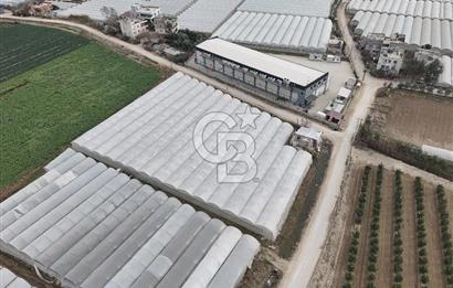 Mersin Akdeniz Kazanlı Mah. Satılık Sera ve Arsası