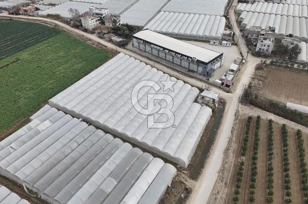 Mersin Akdeniz Kazanlı Mah. Satılık Sera ve Arsası