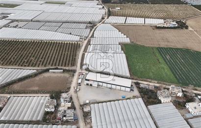 Mersin Akdeniz Kazanlı Mah. Satılık Sera ve Arsası