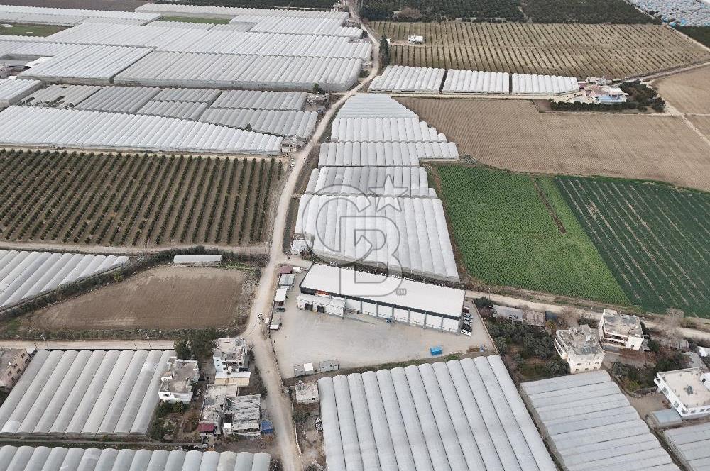 Mersin Akdeniz Kazanlı Mah. Satılık Sera ve Arsası