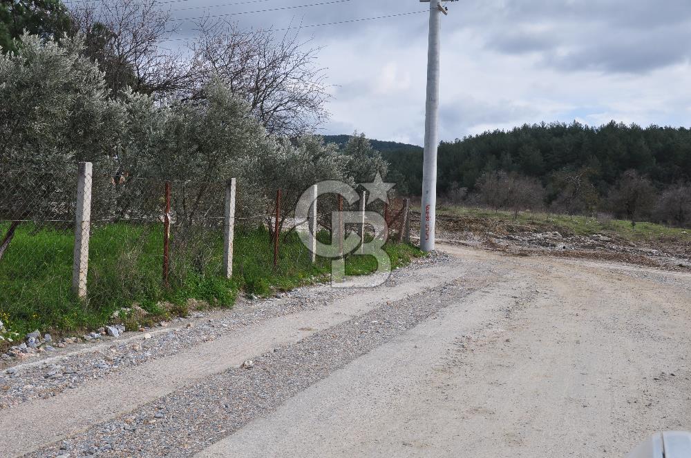 Muğla Menteşe Yeniköy'de Satılık Villa Arsası