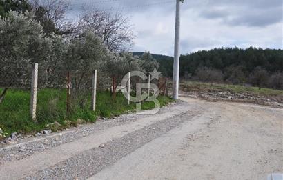Muğla Menteşe Yeniköy'de Satılık Villa Arsası