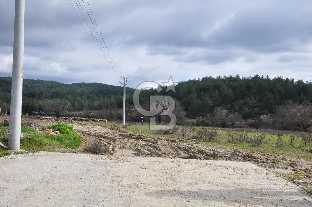 Muğla Menteşe Yeniköy'de Satılık Villa Arsası