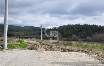 Muğla Menteşe Yeniköy'de Satılık Villa Arsası