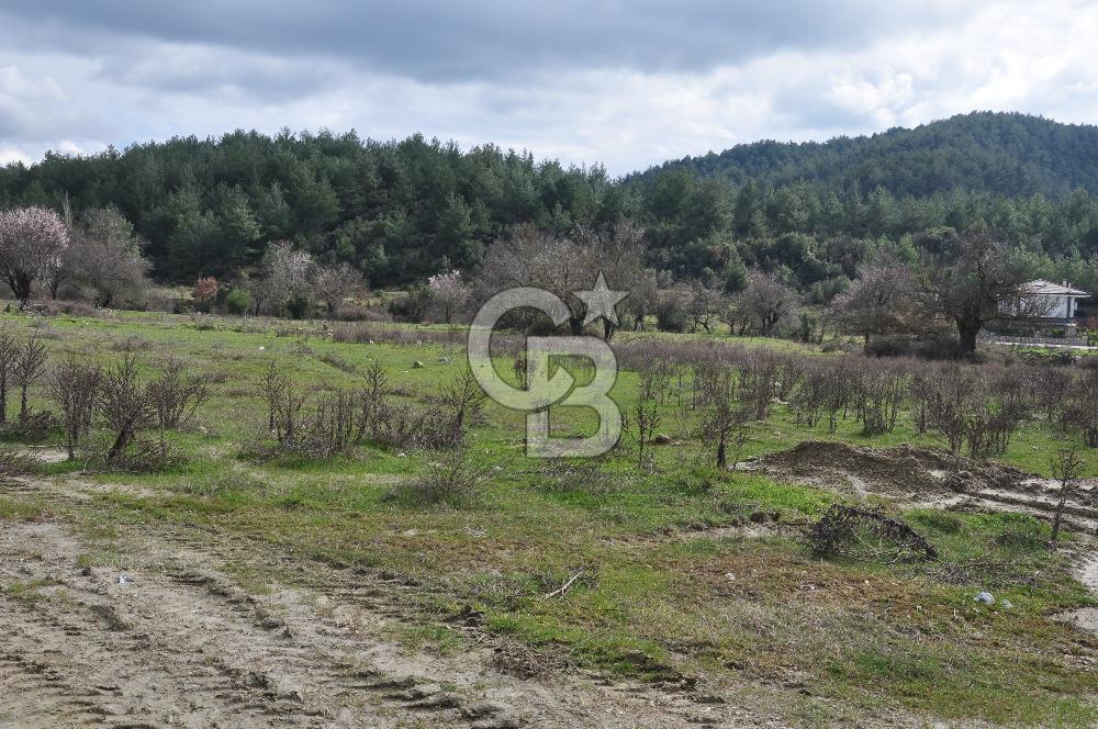 Muğla Menteşe Yeniköy'de Satılık Villa Arsası