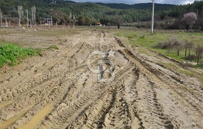 Muğla Menteşe Yeniköy'de Satılık Villa Arsası