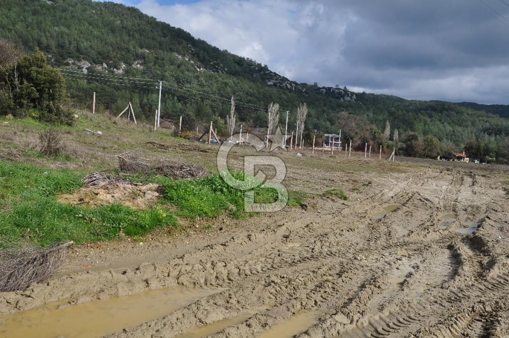 Muğla Menteşe Yeniköy'de Satılık Villa Arsası