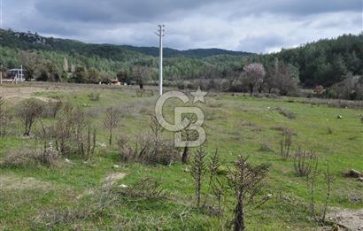 Muğla Menteşe Yeniköy'de Satılık Villa Arsası