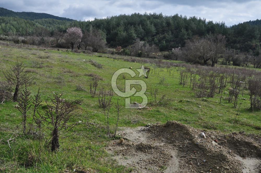 Muğla Menteşe Yeniköy'de Satılık Villa Arsası