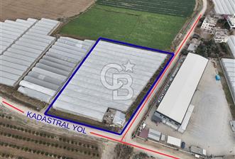 Mersin Akdeniz Kazanlı Mah. Satılık Sera ve Arsası - 1 - 337032