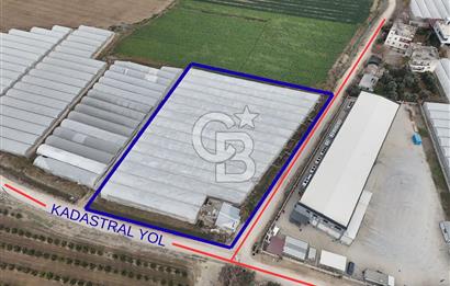 Mersin Akdeniz Kazanlı Mah. Satılık Sera ve Arsası