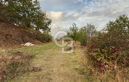 İzmir Kiraz Dokuzlar'da 9.113 m² Kestane Yetiştirmek İçin Tarla