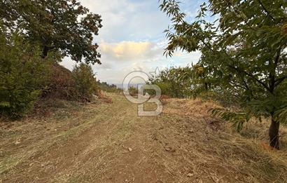 İzmir Kiraz Dokuzlar'da 9.113 m² Kestane Yetiştirmek İçin Tarla